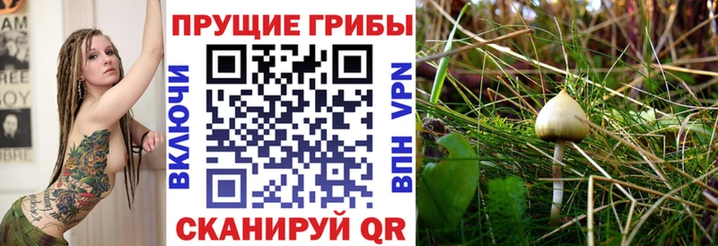 Галлюциногенные грибы Cubensis  ОМГ ОМГ ссылки  это состав  закладка  Шарыпово 