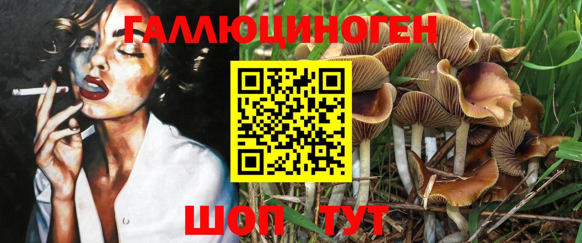 Галлюциногенные грибы Psilocybe Шарыпово